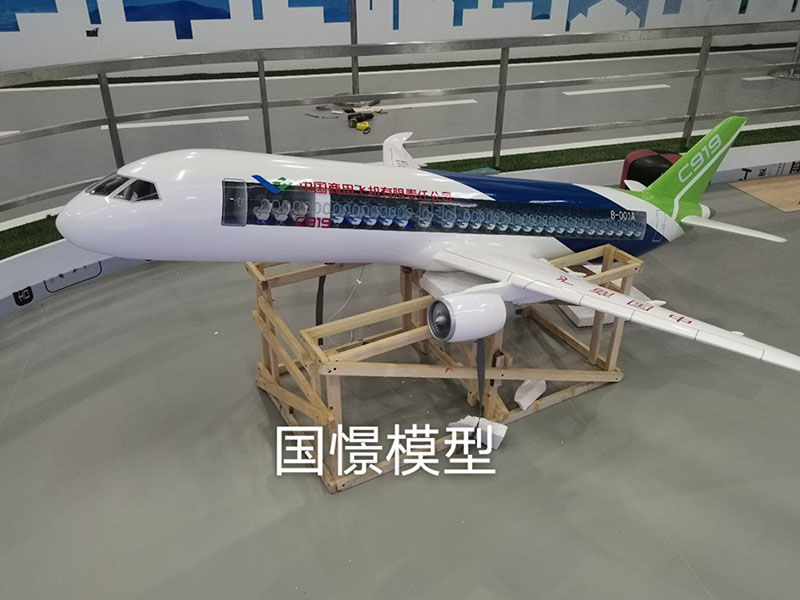 织金县飞机模型